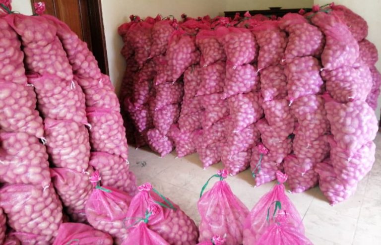 Culture de pomme de terre : L’entreprise agricole Tsutsanga Farm milite pour l’utilisation des semences certifiées