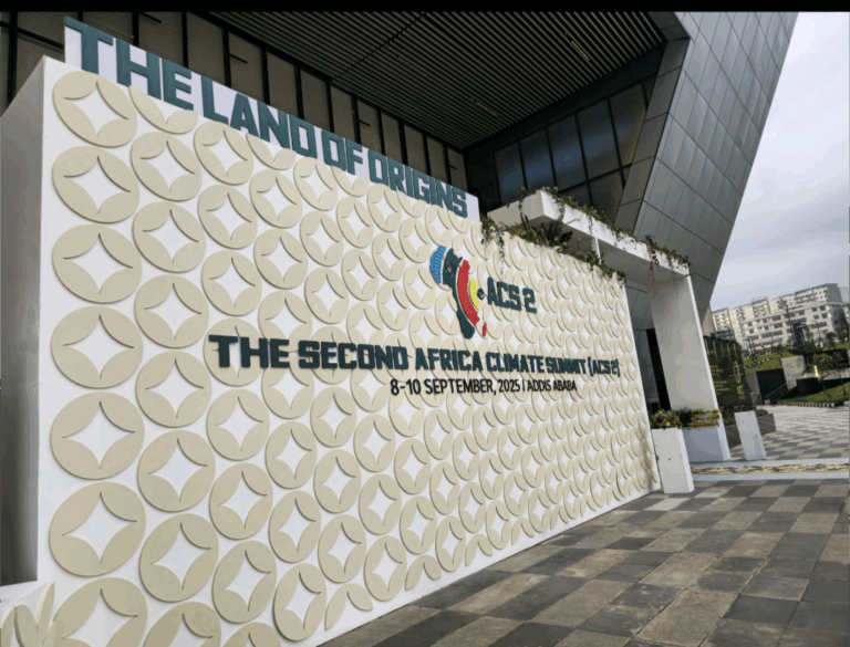Sommet africain sur le climat : un chemin d’espoir et d’investissement vert pour la jeunesse africaine