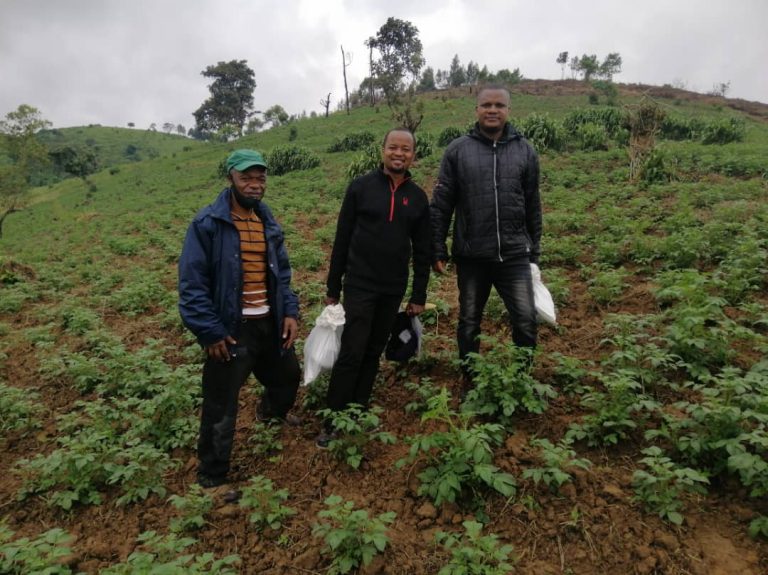 Nord-Kivu : La Fondation Virunga noue des partenariats pour s’activer à nouveau dans le secteur agricole