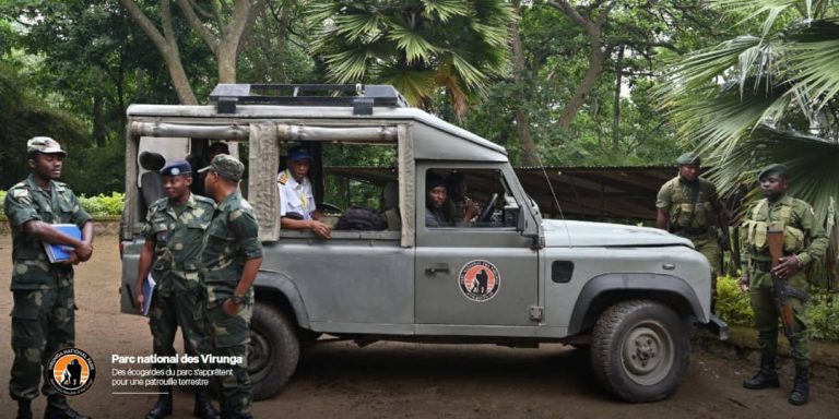 Parc National des Virunga : la RDC menace de militariser ce patrimoine de l’humanité