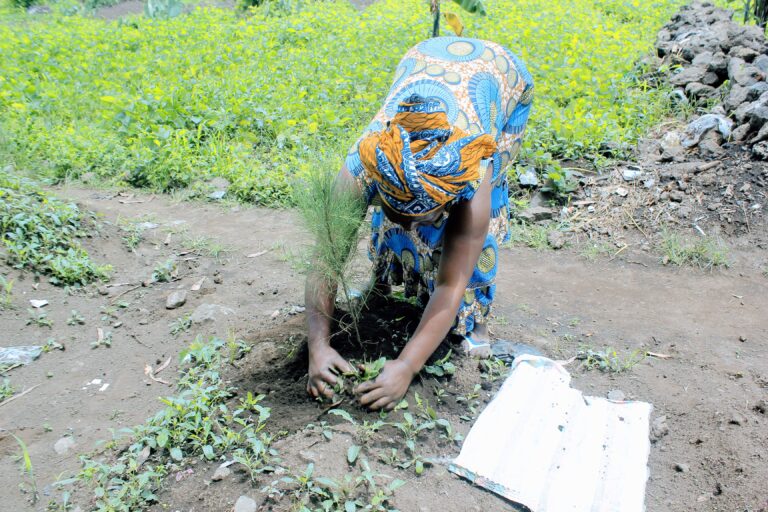 Nord-Kivu-Nature: La restauration des écosystèmes au cœur des initiatives féminines…