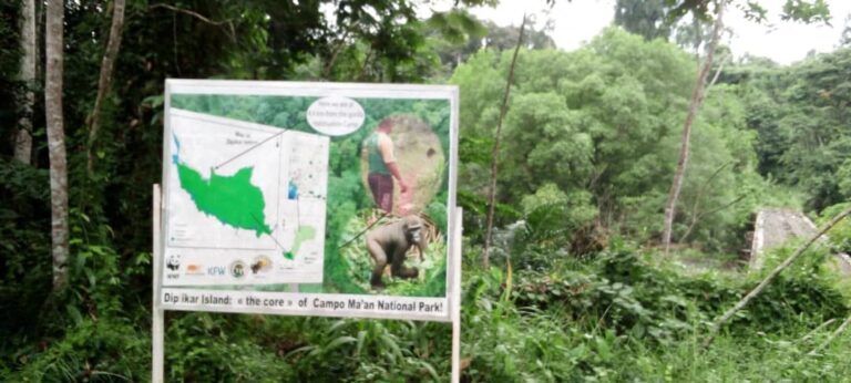 Cameroun : Campo Ma’an, les animaux du Parc National sèment la terreur   dans les villages environnant