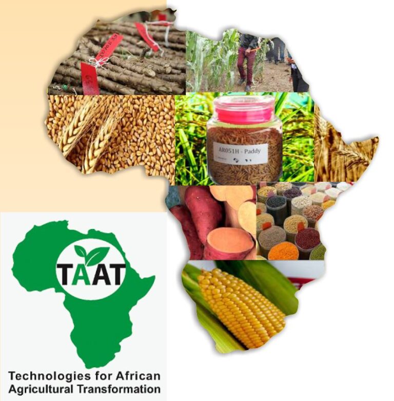 Monde: TAAT organise un sommet sur les entreprises semencières en Sierra Leone