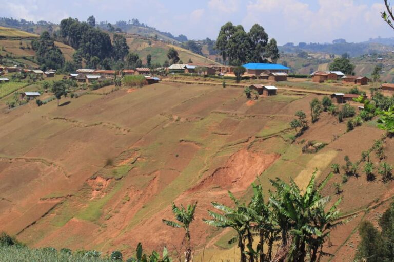 RDC-Burundi: les Forêts et les parcs  victimes de l’exiguïté et de l’infertilité des champs familiaux 