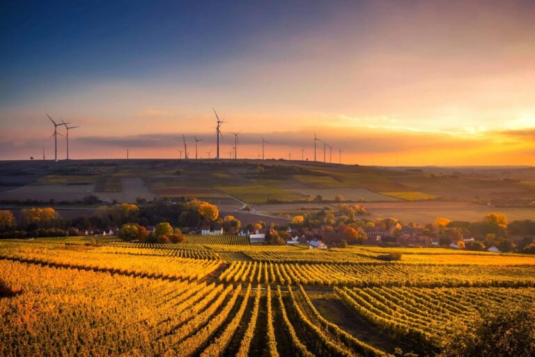Changement climatique en 2025 : causes, impacts et solutions