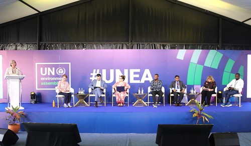 Investir dans la santé de la planète : un pari économique et humain incontournable, selon l’ONU