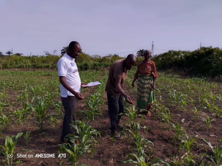 RDC -agriculture: au Kasaï, l’agriculture intelligente redonne espoir aux petits exploitants