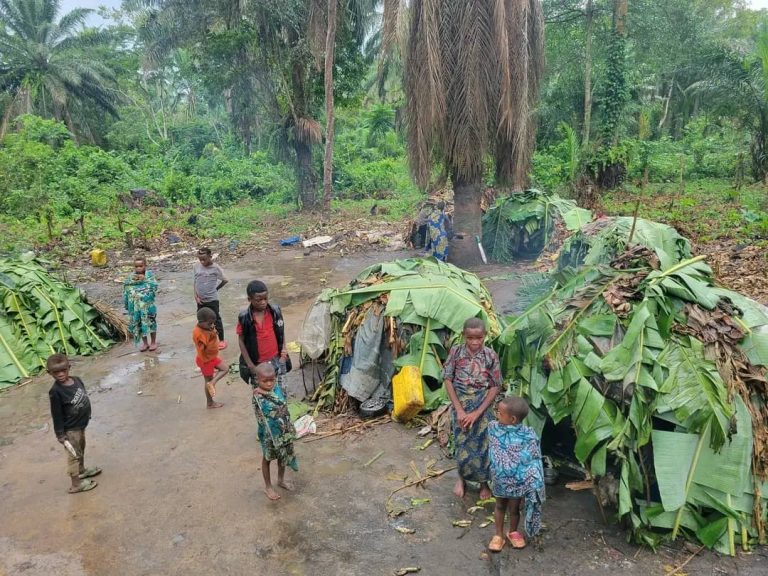 RDC : les peuples autochtones face à une crise humanitaire alarmante à l&rsquo;Est du pays