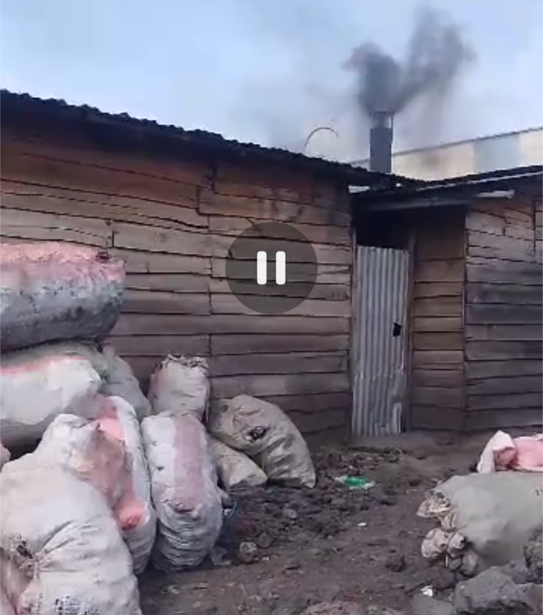 Goma : l&rsquo;ONG AICED alerte sur l’usage dangereux des bouteilles plastiques comme combustible dans les boulangeries